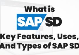What is SAP SD Types, SAP SD Full Form, and Uses