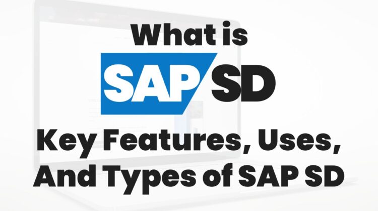 What is SAP SD Types, SAP SD Full Form, and Uses