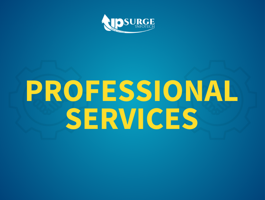 Professional Services