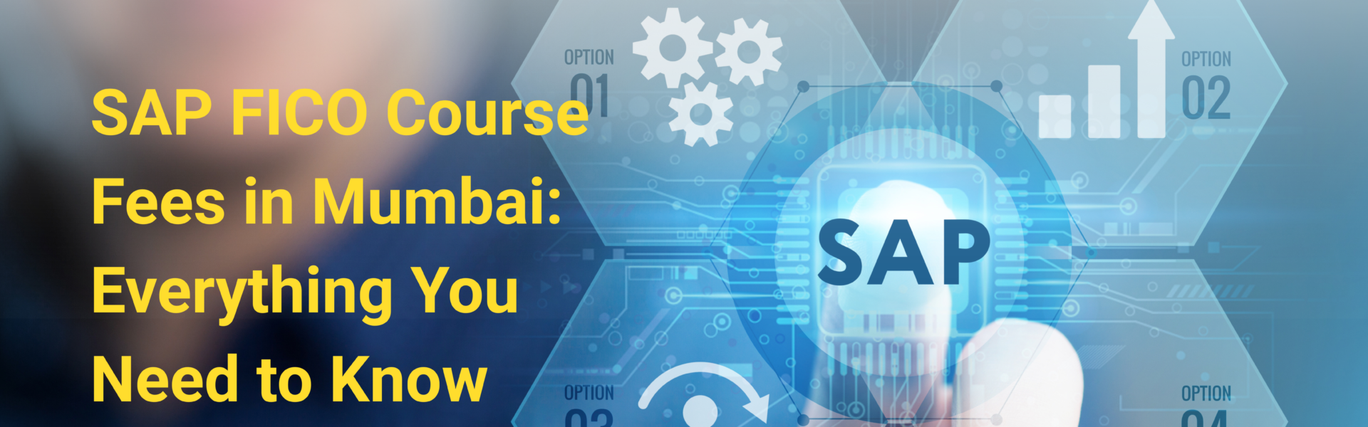 Everything About SAP FICO Course Fees in Mumbai
