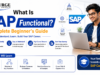 What is sap functional