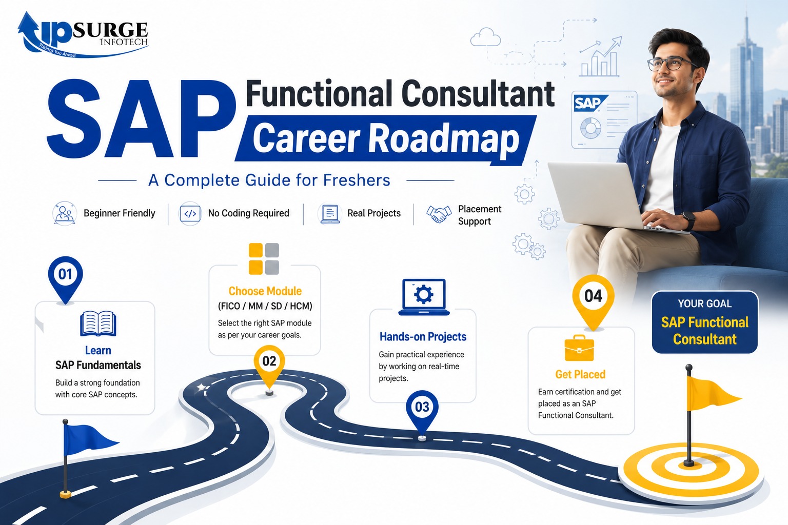 sap functional consultant complete career roadmap