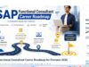 sap functional consultant complete career